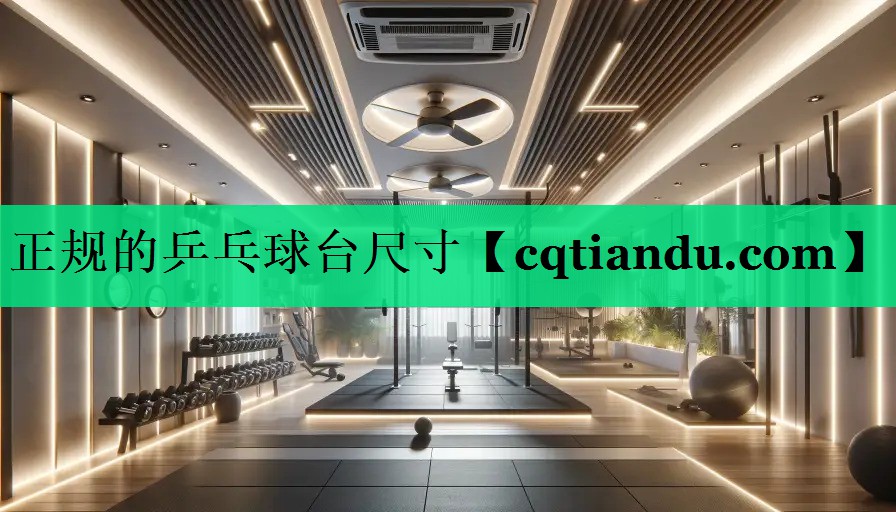正规的乒乓球台尺寸